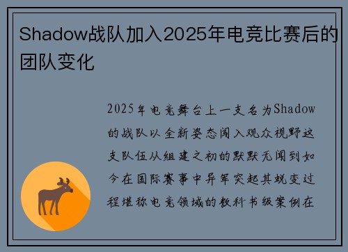 Shadow战队加入2025年电竞比赛后的团队变化